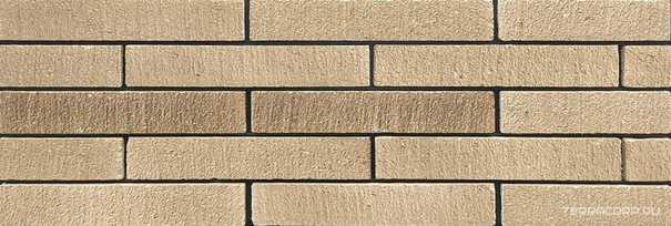 Abant XX 6.5x40