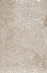 Loire Grigio  matt.(п.п.) ZZ |40.8x61.4