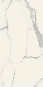 Керамогранит Florim Magnum I Classici di Rex Statuario Glossy  ZZ 120x240 Серый 