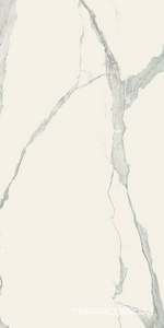 Керамогранит Florim Magnum I Classici di Rex Statuario Glossy  ZZ 120x240 Серый 