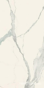 Керамогранит Florim Magnum I Classici di Rex Statuario Glossy  ZZ 120x240 Серый 