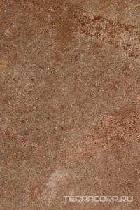 Керамогранит Imola Trail18 PORF MIX18 23  20x30 Коричневый 