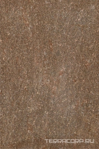 Керамогранит Imola Trail18 PORF MIX18 23  20x30 Коричневый 
