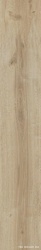 Bricola Miele |20x120