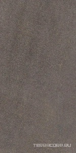 Керамогранит Ariostea Pietre Naturali Pietra Piasentina strut. 30x60 Серый 
