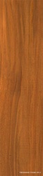 Nut brown |12.5x50