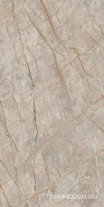 Керамогранит AtlasConcorde Россия EMPIRE Empire Silver Root Rett 80x160/ЭМПАИР СИЛЬВЕР РУТ РЕТ 80x160 Серый 