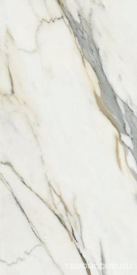Керамогранит APE Ceramica Calacatta Borghini Pol. rect. ( аналог ном n078097 ) 60x120 Белый, фото 3