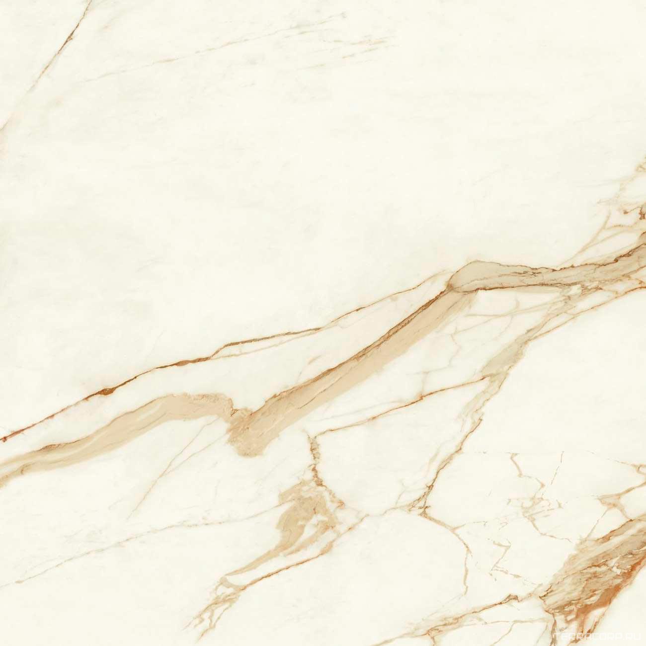 Керамогранит Atlas Concorde Italy Marvel Shine Marvel Calacatta Imperiale Matt 120x120 Белый, фото 6
