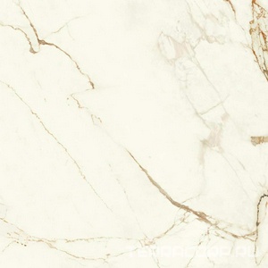 Керамогранит Atlas Concorde Italy Marvel Shine Marvel Calacatta Imperiale Matt 120x120 Белый 