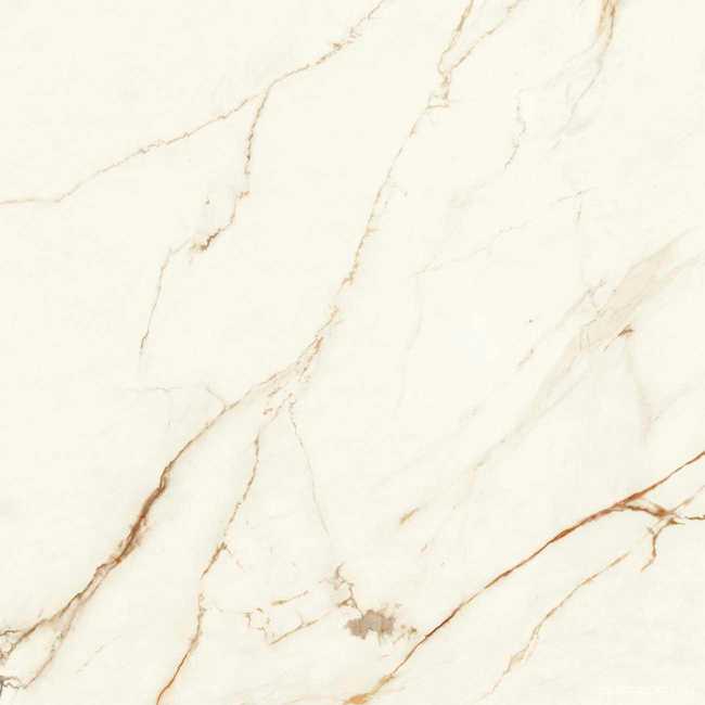 Marvel Calacatta Imperiale Matt ZZ 120x120