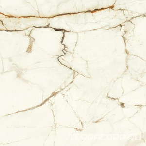 Керамогранит Atlas Concorde Italy Marvel Shine Marvel Calacatta Imperiale Matt 120x120 Белый 