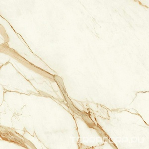 Керамогранит Atlas Concorde Italy Marvel Shine Marvel Calacatta Imperiale Matt 120x120 Белый 