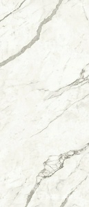 Керамогранит Atlas Concorde Italy Marvel Shine Marvel Statuario Supremo 120x278 Lappato Белый 