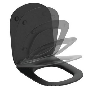 Сиденье для унитаза, с микролифтом, "Тонкое", (цв.черный матовый),  ZZ Ideal Standard Tesi T3527V3
