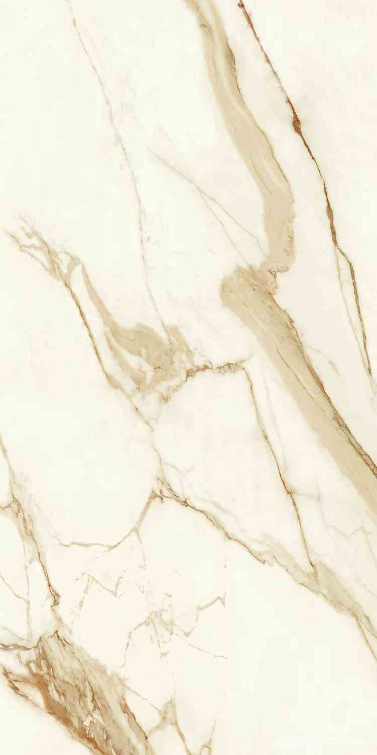 Marvel Calacatta Imperiale Lappato |60x120