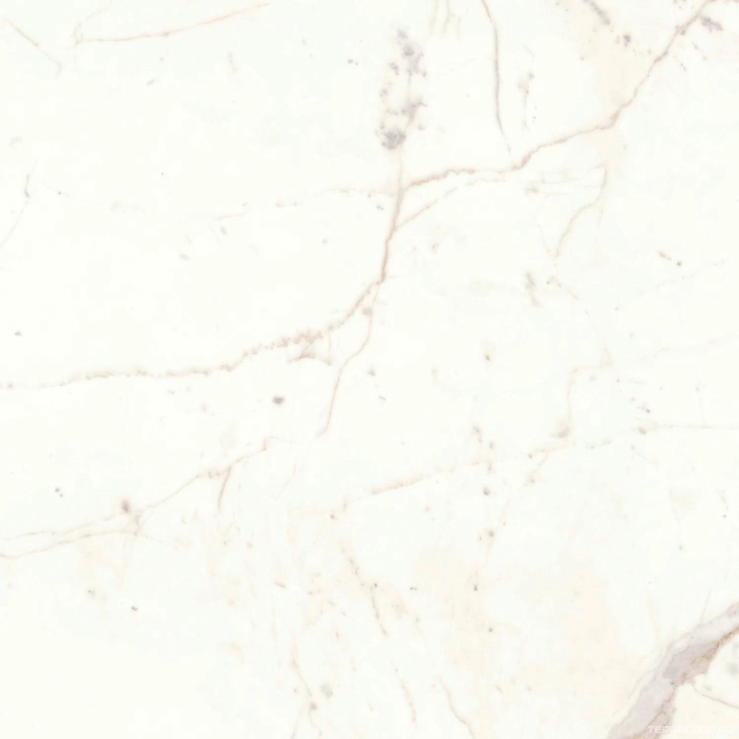 Керамогранит Atlas Concorde Italy Marvel Shine Marvel Calacatta Prestigio Silk 75x75 XX Белый, фото 6