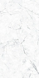 Invisible Marble White Polished XX 60x120