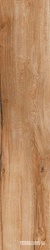 Daring Nut |24x120