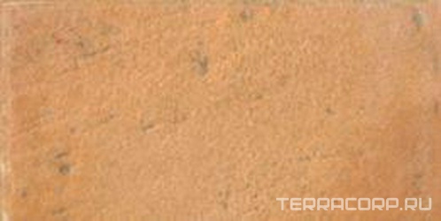 Morlupo (arancio) XX |10x20