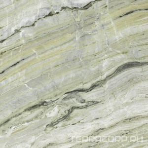 Керамогранит La Faenza Aesthetica AE VER6 120 RM ( п.п.)120x120 Зеленый 