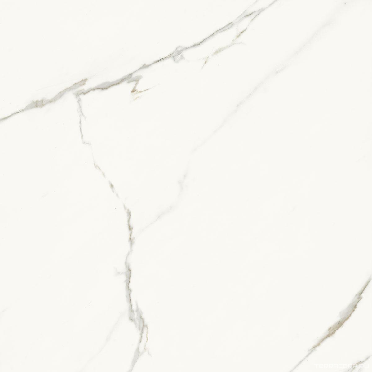 Керамогранит La Faenza Aesthetica AE EXT6 120 LP ( п.п.)120x120 Белый, фото 7