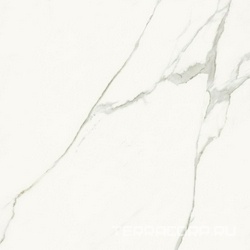 AE EXT6 120 LP ZZ ( п.п.)120x120
