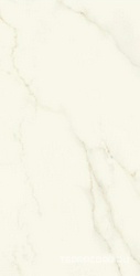 Marvel Calacatta Apuano Silk ZZ 75x150