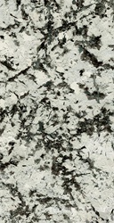 Luxury Stone SS12049 Pol KL 60x120