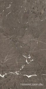 Керамогранит Florim Heritage Luxe Heritage Brown Glossy 60x120 Коричневый 