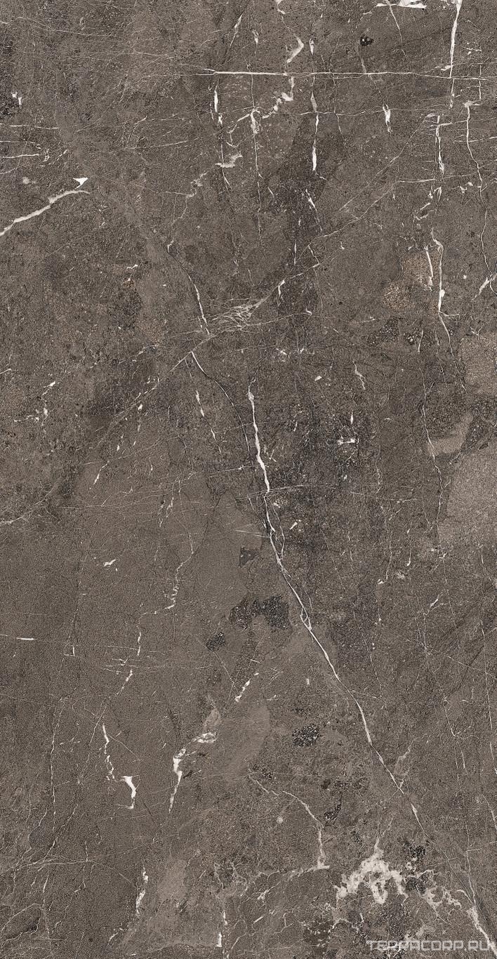 Керамогранит Florim Heritage Luxe Heritage Brown Glossy 60x120 Коричневый, фото 4