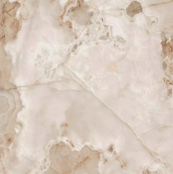 Noisette Glossy 120x120