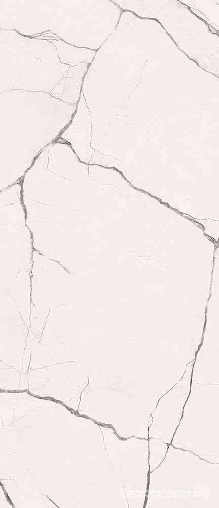 STA VP6 278 LP 120x278