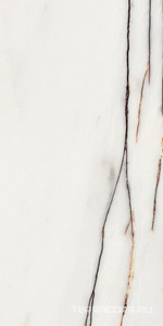 Керамическая плитка Azori Rosso Venato  31.5x63 Белый 