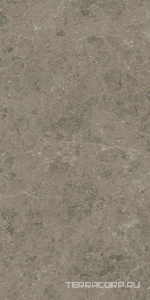 Керамогранит Atlas Concorde Italy Marvel Meraviglia  Grigio Elegante Lapp. 60x120 Серый 