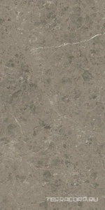 Керамогранит Atlas Concorde Italy Marvel Meraviglia  Grigio Elegante Lapp. 60x120 Серый 