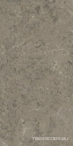 Керамогранит Atlas Concorde Italy Marvel Meraviglia  Grigio Elegante Lapp. 60x120 Серый 