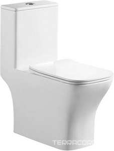 Унитаз напольный, моноблок, арматура, сиденье с микролифтом в компл.,  ZZ BelBagno Neon BB8617CPR-MN/SC