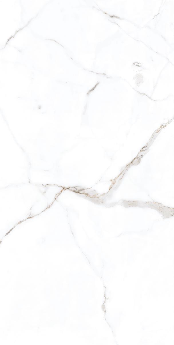 Керамогранит Alpas Euro Premium Marble Rockford Satin 60x120 Белый, фото 5