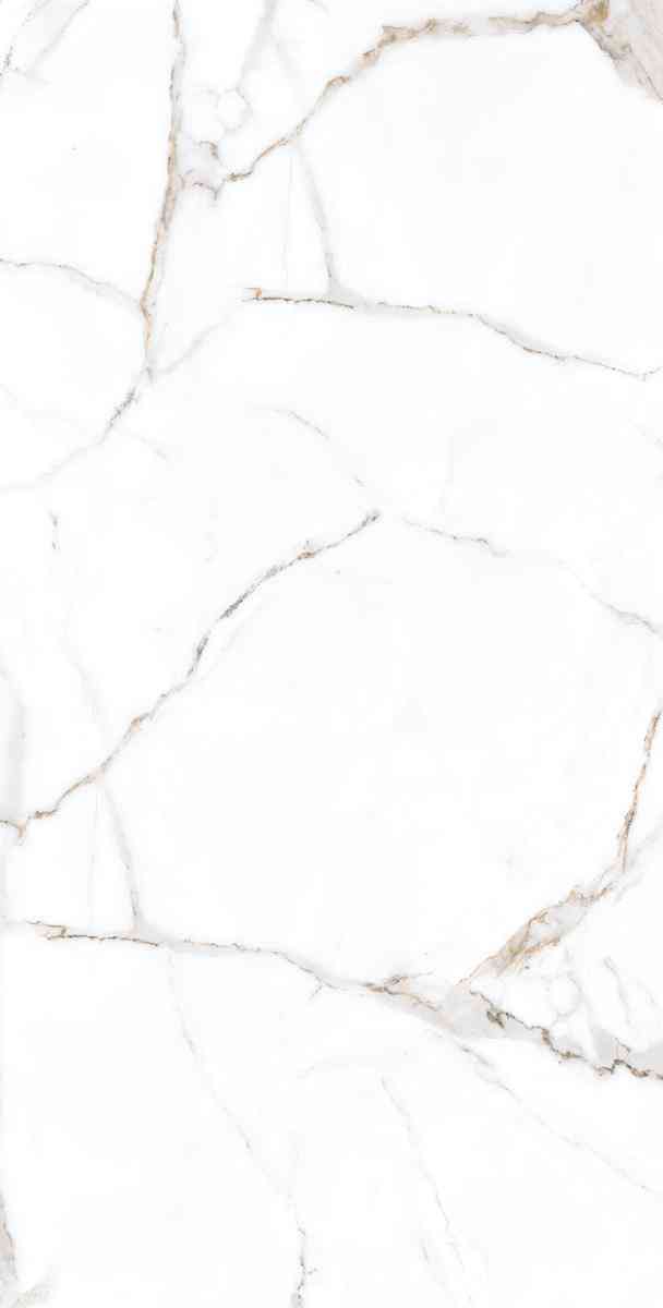 Rockford Satin 60x120