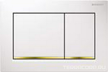 Клавиша смыва "" для инсталляции арт.111.060.00.1, рамка белая, декоративная планка позолоченная, кнопки белые ZZ Geberit Omega 30 115.080.KK.1