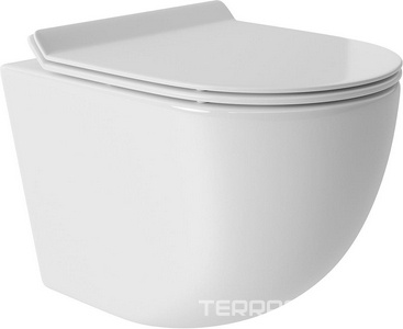 Компл.: унитаз подв.,безободк,Tornado 490х360мм,цв.белый гл.,сиденье с микролиф,,инстал. д/унит., крепёж, клавиша смыва Quadrado цв.черный мат,  ZZ Aqueduto Ovo AQDS013T