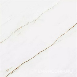 Граните Сиена белый MR матовый 60x60