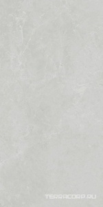 Керамическая плитка Kerama Marazzi Монте Тиберио  серый глянцевый обрезной 40x80 Серый 