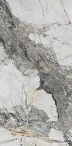 Керамогранит Artecera Marble Collection Marcelino Digital Glazed KL 60x120 Комбинированный 