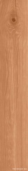 Log Cansei Darsena ZZ 18.5x150