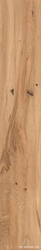 Log Icon Oak Forest ZZ 20x120 