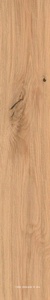 Керамогранит Atlas Concorde Italy Log  Icon Oak Forest 20x120  Бежевый 