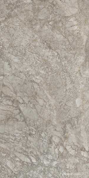 Breccia Braque Luc ZZ| 59x118,2