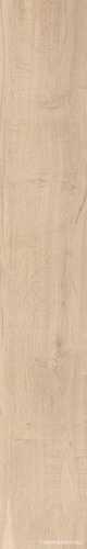 Beige Chiaro Outdoor Nat ZZ |16x100